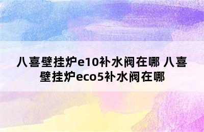 八喜壁挂炉e10补水阀在哪 八喜壁挂炉eco5补水阀在哪